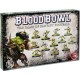 The Scarcrag Snivellers - Goblin Blood Bowl Team